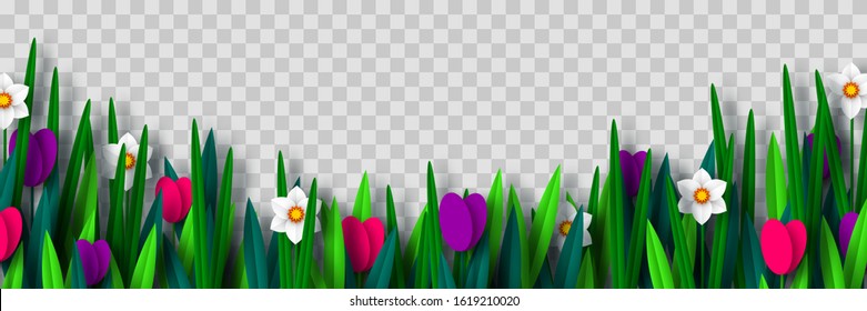 Vector spring flower border with tulips and narcissus, isolated on transparent background. Paper cut style. Decorative frame for Womens, Mothers Days, spring or summer seasonal holidays.