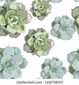 Vector spring flower seamless pattern with succulents. Elegant tender design for florist shop. Can be used as greeting, wedding background. Best for fabric. Green flowers texture. White background.