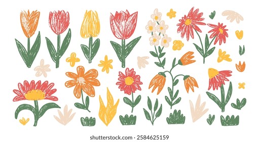 Vector Spring flowers crayon drawn set. Tulip, daisy, chamomile and marguerite plants doodle. Summer floral kids elements. Chalk style childish shape. Naive pencil illustration on white background.