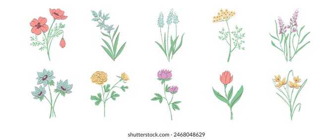 Vector Spring Flowers Illustration Set