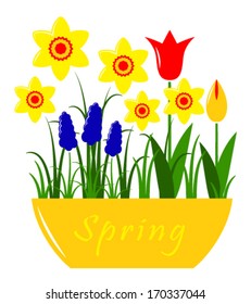vector spring flowers in pot isolated on white background