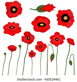 Vector spring flowers. Red poppies Isolated on white background.