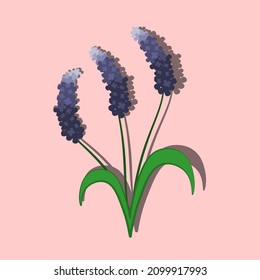 Vector spring flowers. Retro drawing on a minimalist background in pastel colors.