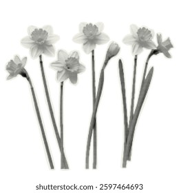 Vector spring flowers. Trendy retro element with a halftone effect for collage, poster, banner, cover design.