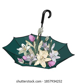 Vector spring freehand illustration Elegant umbrella with lilies, flowers on a white background. Harvesting wildlife for designers, elements, wedding cards, logo, icon, sticker