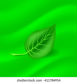 Vector Spring Green Leaf on Sun Blurred Green Background