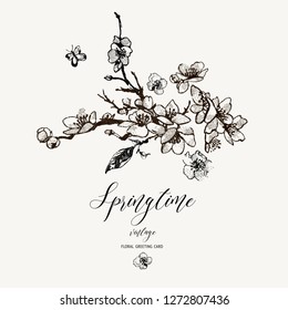 Vector spring greeting card, vintage floral bouquet with blooming branches of sakura