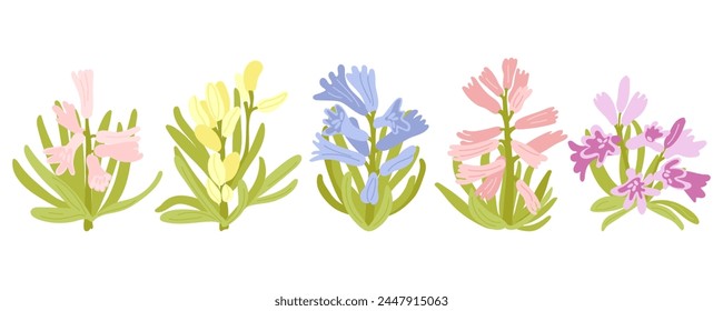 Vector spring hyacinth flowers. Spring botanical design in hand drawn style. Decorative flowers isolate.