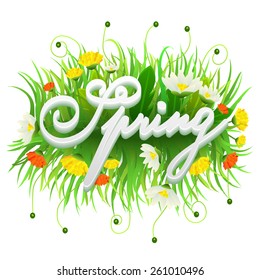 vector spring illustration with flower and grass spring isolated