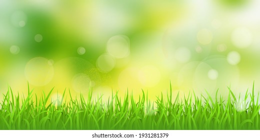 Vector spring illustration, grass and blurry background. Bokeh effect, sunny morning.