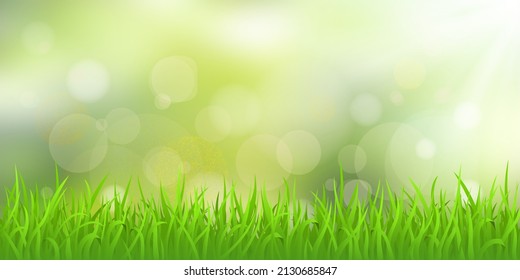 Vektorfrühlingsgrafik, Gras und unscharfer Hintergrund. Bokeh-Effekt, sonniger Morgen.
