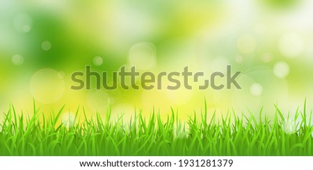 Vector spring illustration, grass and blurry background. Bokeh effect, sunny morning.