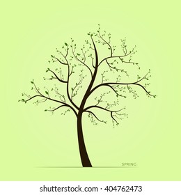 Vector spring illustration with green leaves on tree on light background