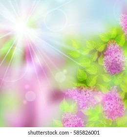Vector spring illustration of soft colored abstract background with bokeh and lilac