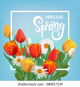 Vector spring illustration with tulips and chamomiles. Floral bouquet.
