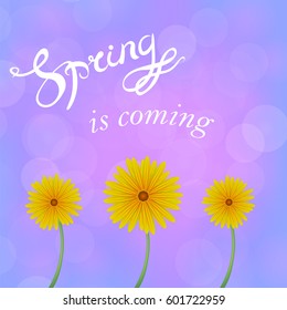 Vector Spring Lettering Design. Banner with a Blurred Pink Blue Background and Text