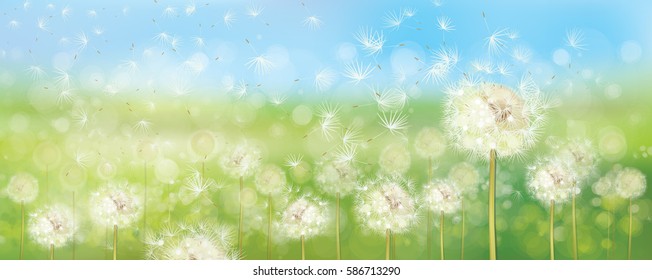 Vector spring  nature  background.