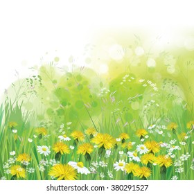 Vector spring, nature background with chamomiles and dandelions.