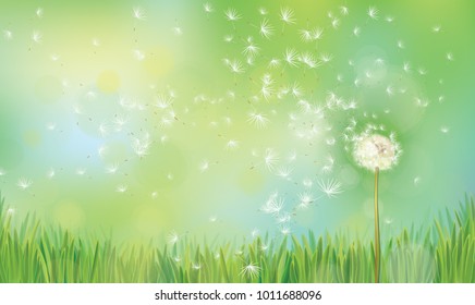 Vector spring  nature  background,  dandelion on green  bokeh background.