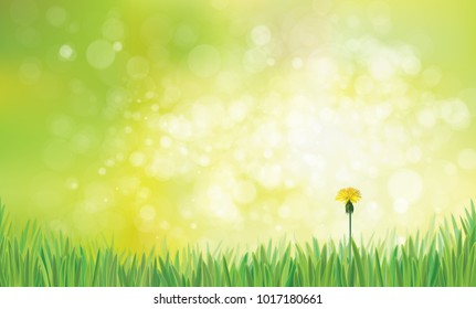 Vector spring  nature  background,  dandelion on green  bokeh background.