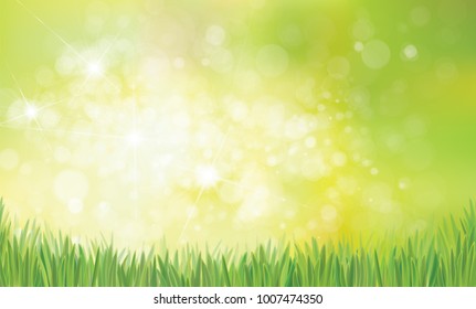 Vector spring  nature  background,  green grass on green bokeh background.