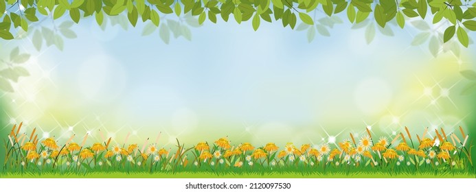 Fondo natural de primavera vectorial con girasoles y campo de césped verde, fondo de verano con ramas se dejan a bordo y efecto de luz borda y borrosa. Banner de plantilla para el concepto de Pascua, Primavera, Verano