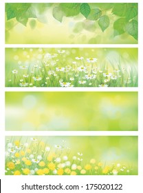 Vector  spring nature banners, birch  tree leaves,  dandelion and chamomile.