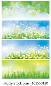 Vector spring nature banners, birch tree leaves, dandelion and chamomiles.
