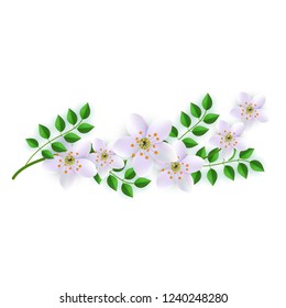 Vector spring pink flowers with leaves gentle pattern. Beautiful apple tree or sakura japanese cherry blooming floral for romantic decoration wedding marriage or dating card vintage summer design.