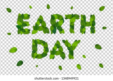 Vector spring realistic green leaves isolated on transparent background. Vector file eps 10.