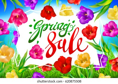Vector spring sale background, Banner, colorful tulips flowers blue sky with lettering. Template for greeting post card. illustration EPS10. art