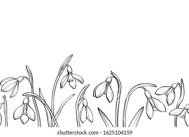 Vector spring seamless border with hand drawn snowdrops on white background.