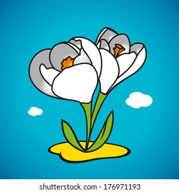 Vector spring snowdrop