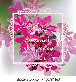 Vector Spring Summer  Card. Pink flowers blossom tree branch. Pelargonium geranium bright cerise. Photo realistic Vector flowers Illustration 