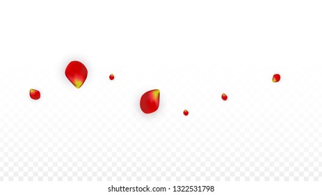 Vector Spring or Summer Sale Background with Flowers and Percent for  Web Design. Good for Special Hot Holiday Discount Offer, Black Friday, Fashion Promotion Action. Romantic Rose Illustration.