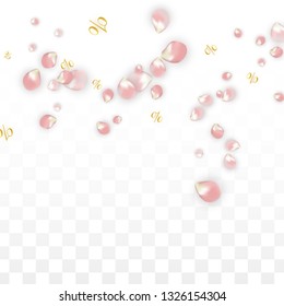 Vector Spring or Summer Sale Background with Petals and Percent for  Web Design. Good for Special Hot Holiday Discount Offer, Black Friday, Fashion Promotion Action. Romantic Sakura Illustration