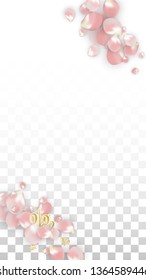 Vector Spring or Summer Sale Background with Petals and Percent for  Banner Design. Good for Special Hot Holiday Discount Offer, Black Friday, Fashion Promotion Action. Romantic Sakura Illustration