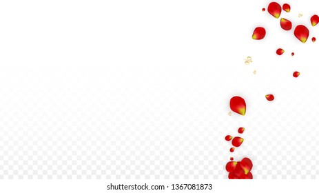 Vector Spring or Summer Sale Background with Flowers and Percent for  Flyer Design. Good for Special Hot Holiday Discount Offer, Black Friday, Fashion Promotion Action. Romantic Rose Illustration.