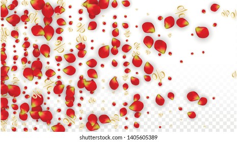 Vector Spring or Summer Sale Background with Flowers and Percent for  Poster Design. Good for Special Hot Holiday Discount Offer, Black Friday, Fashion Promotion Action. Romantic Rose Illustration.