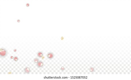 Vector Spring or Summer Sale Background with Petals and Percent for  Banner Design. Good for Special Hot Holiday Discount Offer, Black Friday, Fashion Promotion Action. Romantic Sakura Illustration