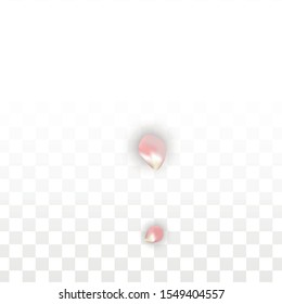 Vector Spring or Summer Sale Background with Petals and Percent for  Flyer Design. Good for Special Hot Holiday Discount Offer, Black Friday, Fashion Promotion Action. Romantic Sakura Illustration