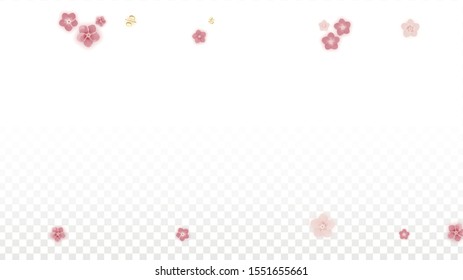 Vector Spring or Summer Sale Background with Flowers and Percent for  Layout Design. Good for Special Hot Holiday Discount Offer, Black Friday, Fashion Promotion Action. Romantic Sakura Illustration