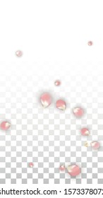Vector Spring or Summer Sale Background with Petals and Percent for  Template Design. Good for Special Hot Holiday Discount Offer, Black Friday, Fashion Promotion Action. Romantic Sakura Illustration