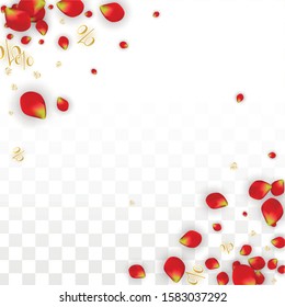 Vector Spring or Summer Sale Background with Flowers and Percent for  Cards Design. Good for Special Hot Holiday Discount Offer, Black Friday, Fashion Promotion Action. Romantic Rose Illustration.