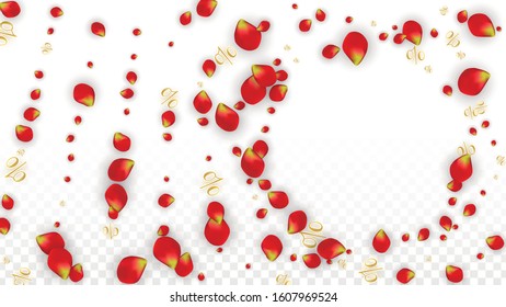 Vector Spring or Summer Sale Background with Flowers and Percent for  Template Design. Good for Special Hot Holiday Discount Offer, Black Friday, Fashion Promotion Action. Romantic Rose Illustration.