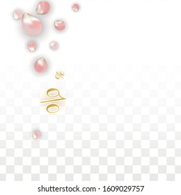 Vector Spring or Summer Sale Background with Petals and Percent for  Poster Design. Good for Special Hot Holiday Discount Offer, Black Friday, Fashion Promotion Action. Romantic Sakura Illustration
