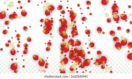 Vector Spring or Summer Sale Background with Flowers and Percent for  Flyer Design. Good for Special Hot Holiday Discount Offer, Black Friday, Fashion Promotion Action. Romantic Rose Illustration.