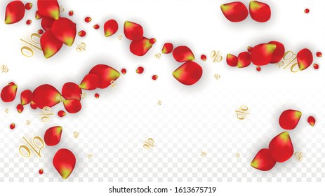 Vector Spring or Summer Sale Background with Flowers and Percent for  Cards Design. Good for Special Hot Holiday Discount Offer, Black Friday, Fashion Promotion Action. Romantic Rose Illustration.