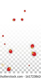 Vector Spring or Summer Sale Background with Flowers and Percent for  Banner Design. Good for Special Hot Holiday Discount Offer, Black Friday, Fashion Promotion Action. Romantic Rose Illustration.