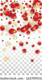 Vector Spring or Summer Sale Background with Flowers and Percent for  Flyer Design. Good for Special Hot Holiday Discount Offer, Black Friday, Fashion Promotion Action. Romantic Rose Illustration.